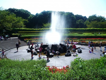 神奈川県立 四季の森公園の画像1