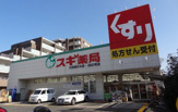 スギ薬局 大田鵜の木店