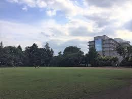 多摩平第一公園グラウンド少年野球場の画像1