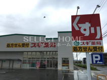 スギ薬局幸田相見店