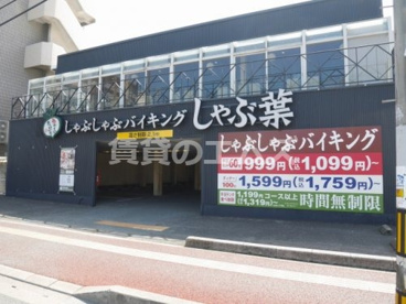 しゃぶしゃぶブッフェ しゃぶ葉 博多駅南店 しゃぶしゃぶブッフェ しゃぶ葉 博多駅南店の画像3