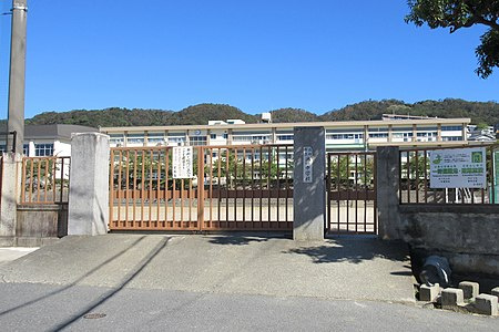 の画像