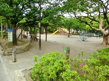 大杉公園の画像1
