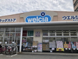 ウエルシア東成深江南店