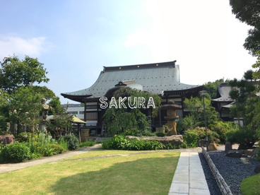 妙海寺の画像1