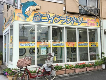 ウォッシュランド55 平間店の画像1