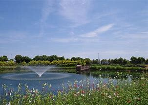 中池公園の画像1