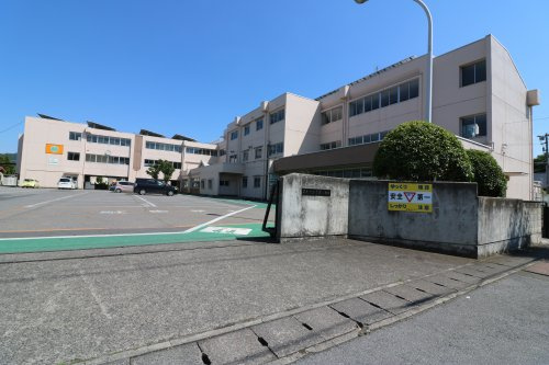 の画像