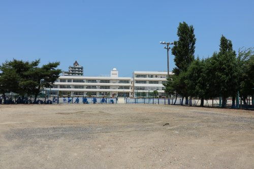 の画像