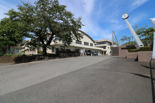 の画像