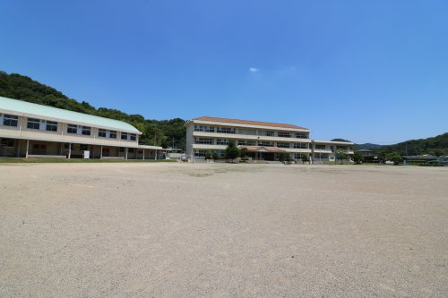 の画像