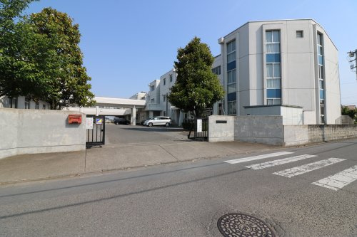 の画像