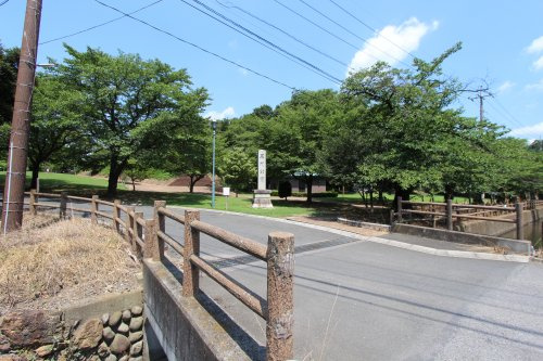 の画像