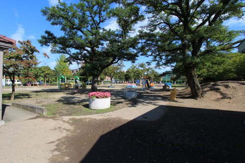 の画像
