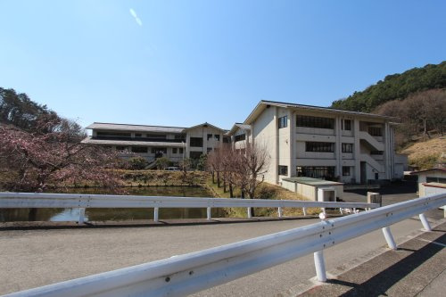 の画像