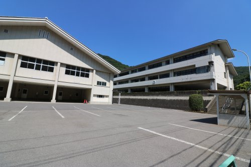 の画像