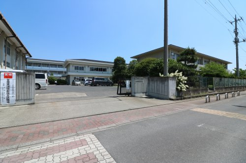 の画像