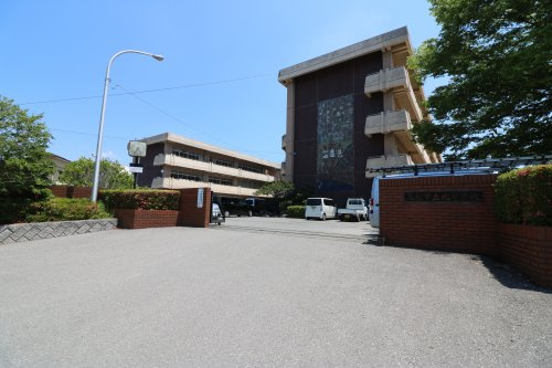 の画像