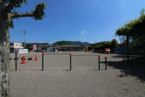 の画像