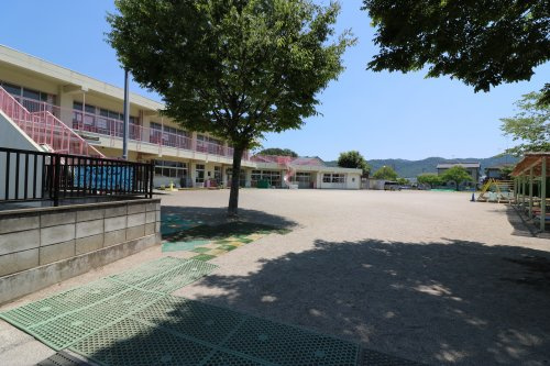 の画像