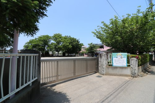 の画像