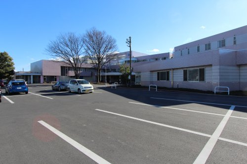 の画像