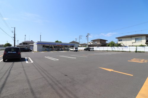 の画像