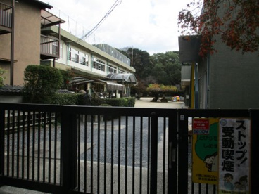 南殿幼稚園の画像1