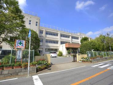 柏市立花野井小学校の画像1