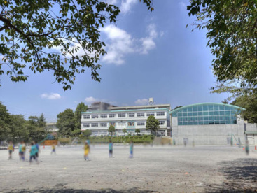 柏市立柏第四小学校の画像1