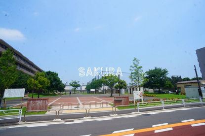 新鶴見公園の画像1