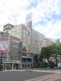 札幌　PIVOTの画像1