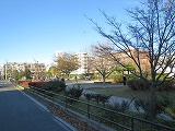 港南ふれあい公園の画像1