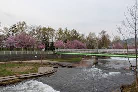 発寒河畔公園の画像1
