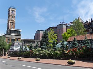 白い恋人パークの画像1