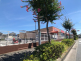 エコス TAIRAYA(たいらや) 築地店