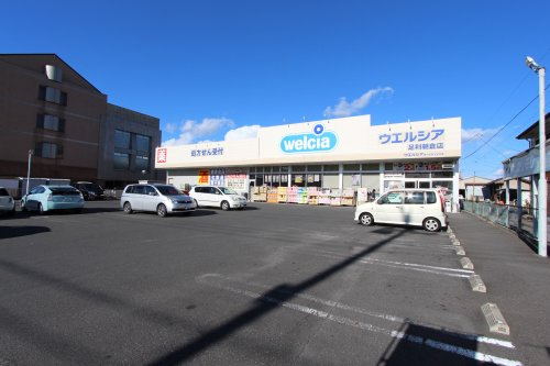 の画像