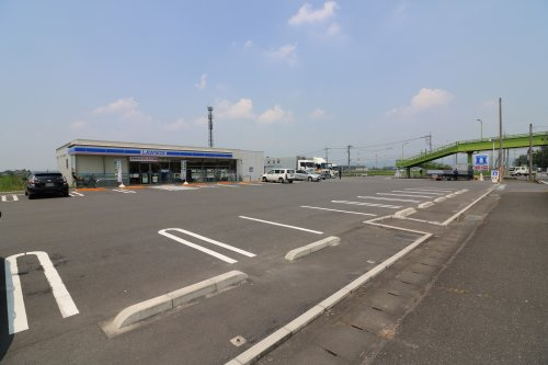 の画像
