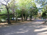 昭和公園