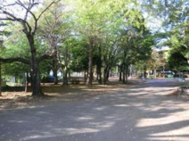 昭和公園