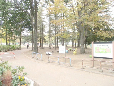 大南公園の画像1