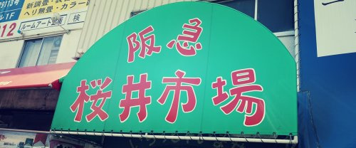 の画像