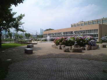 春日緑地の画像1