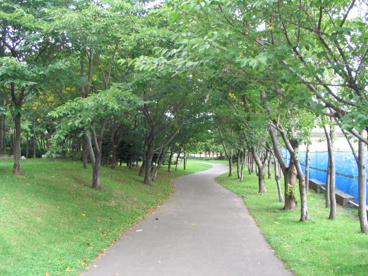 西野緑道の画像1