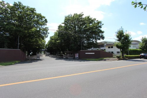 の画像