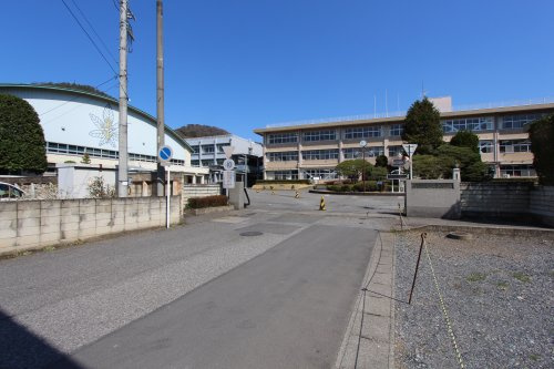 の画像