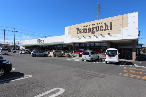 の画像