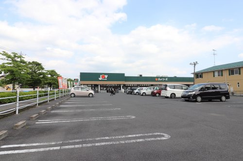 の画像