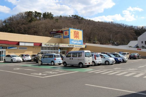 の画像