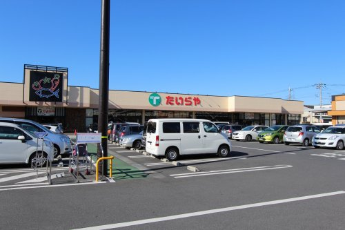の画像